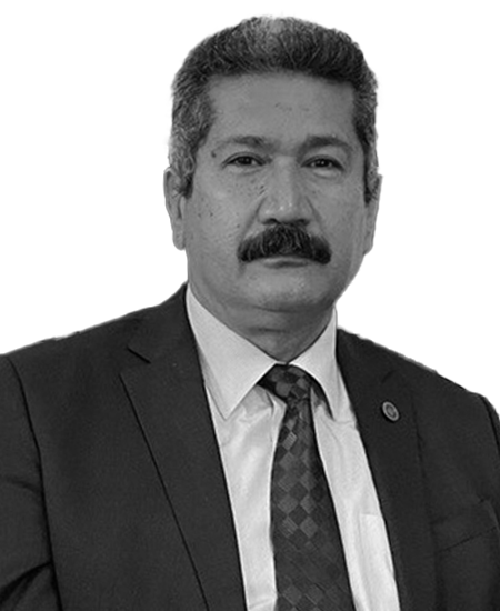 Prof. Dr. M. Fatih Andı